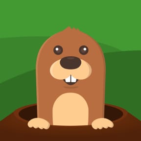 Whack-a-Mole