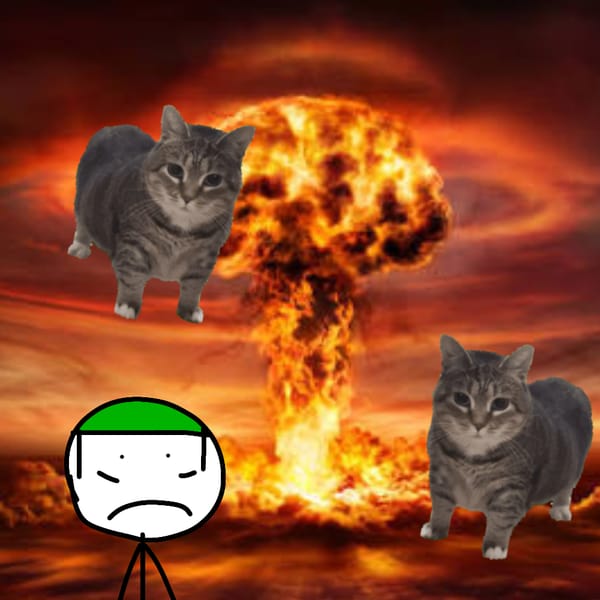 Cat invasion defense game