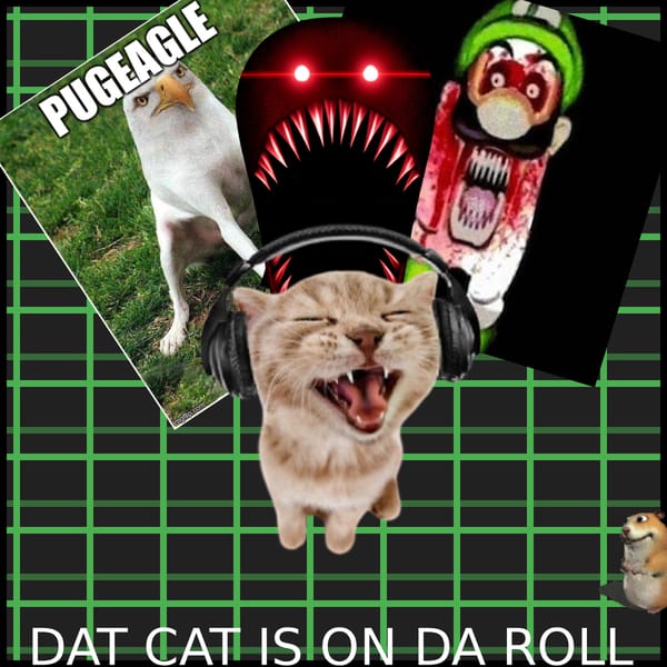 DAT CAT IS ON DA ROLL