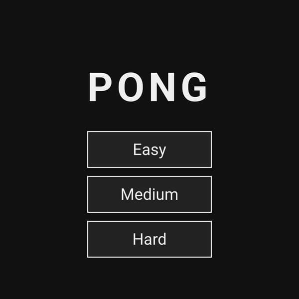 Pong Game
