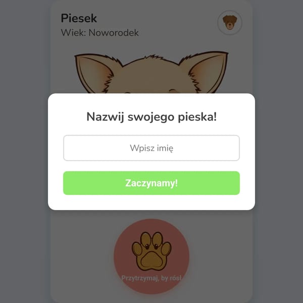 Życie Psa