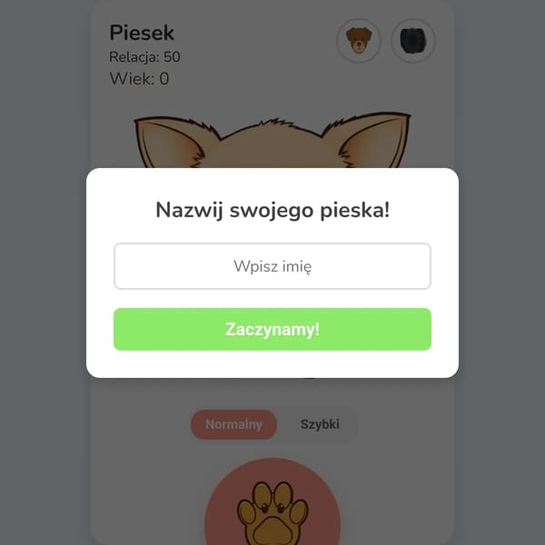Życie Psa