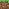 WorldCraft