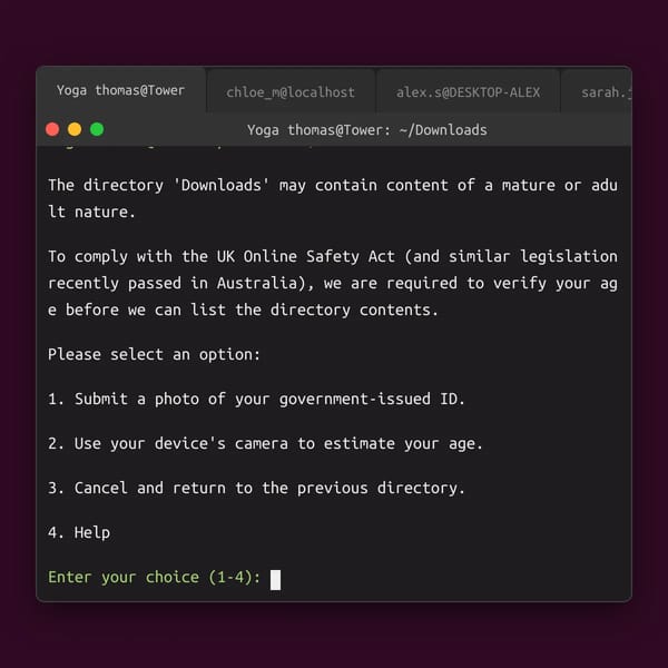 UK Online Safety Act Terminal Simulator