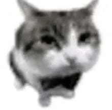 Forsaken ai slooop