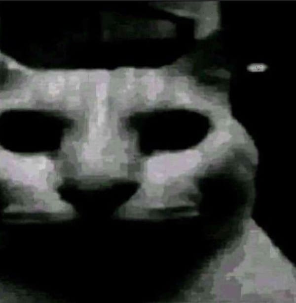 my other old profile