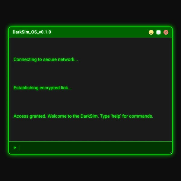 DarkSim Terminal