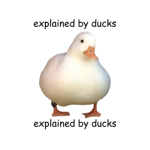 explained by ducks 2 : The Duckening