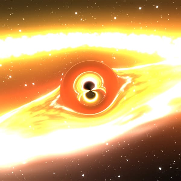 [SHOW] Black Hole