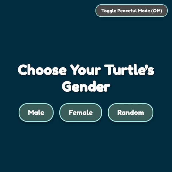 Turtle Simulator