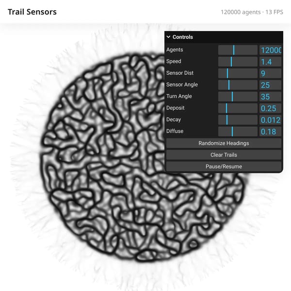 Trail Sensors Simulation
