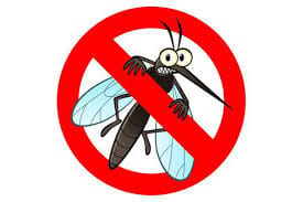 swat mosquito