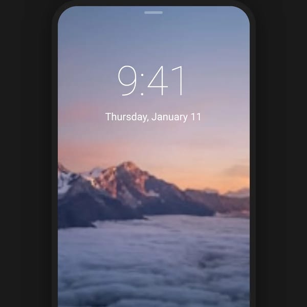 Project screenshot