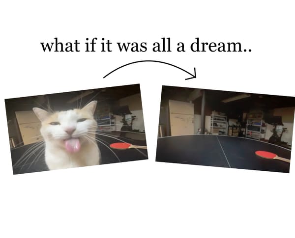 what if it was all a dream
