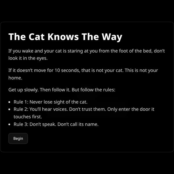 The Cat Knows The Way