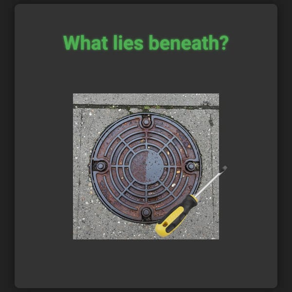 The Drain Cover