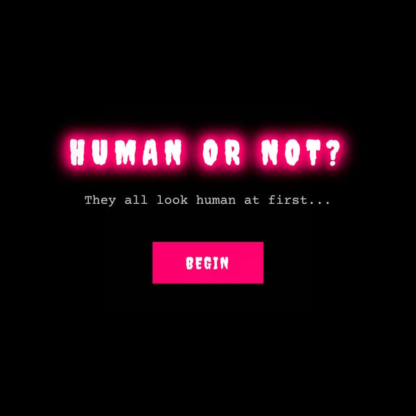 Human or Not? - A Horror Game