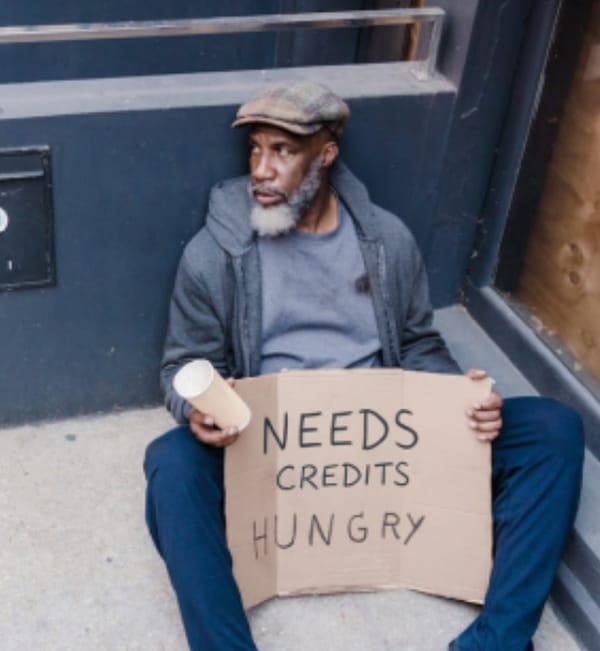 PLS DONATE (Websim Edition)