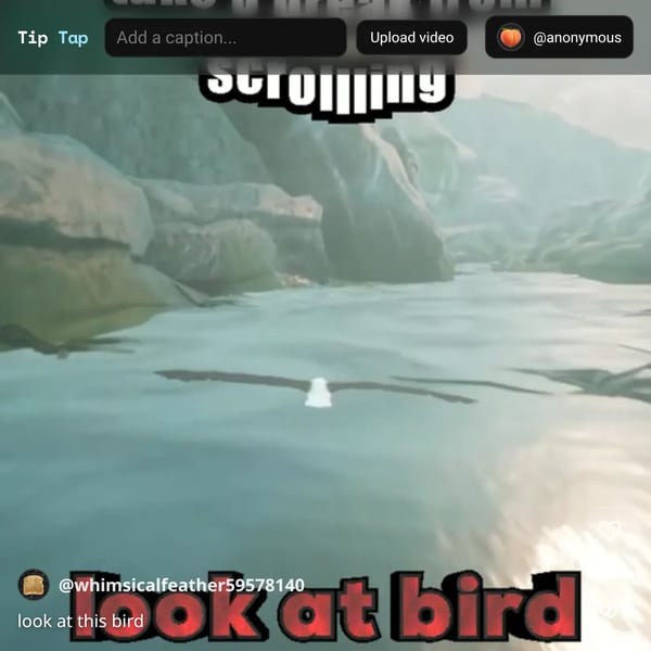 Tip Tap