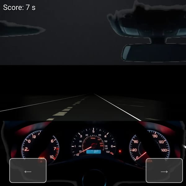 Night Driver Roadkill Highway
