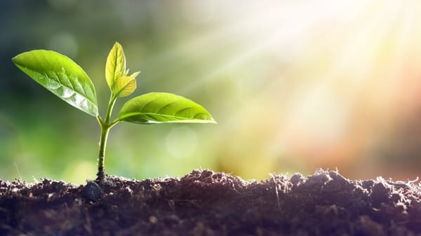 Mini Planting Simulator