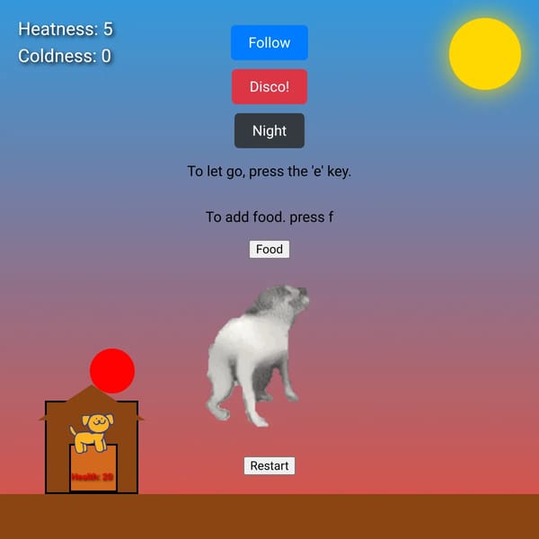 take care of dog