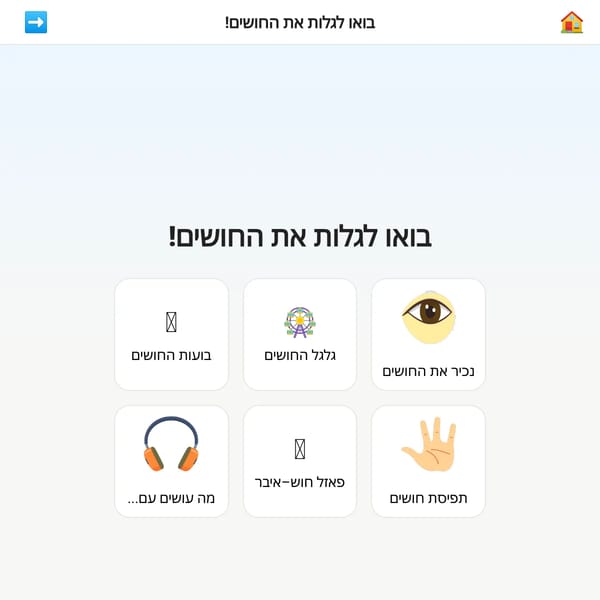 חמשת החושים