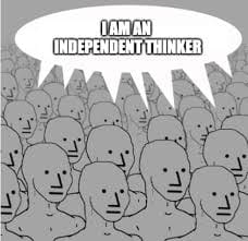 NPCs