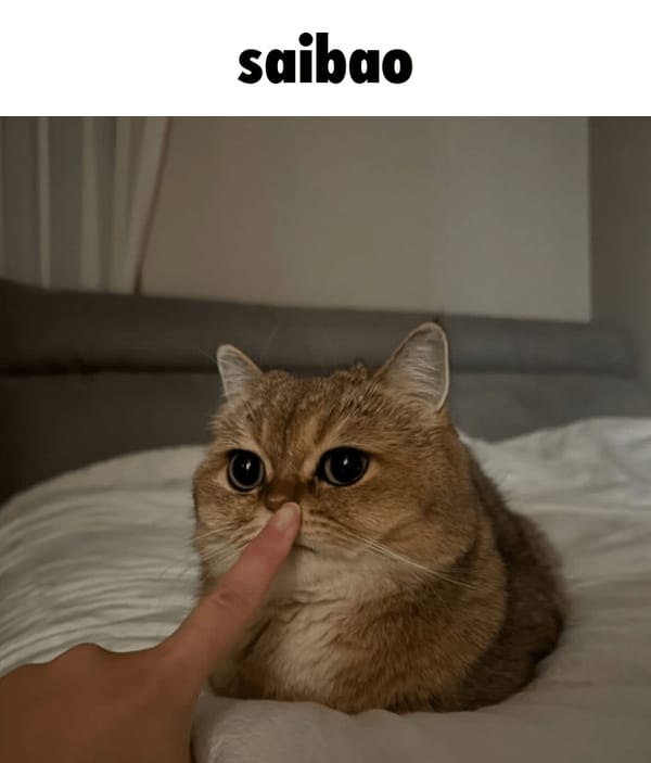 saibao