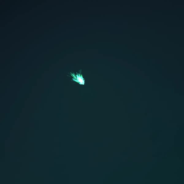 Cool Animation