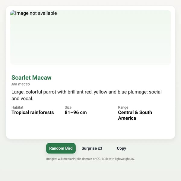 Random Bird Generator