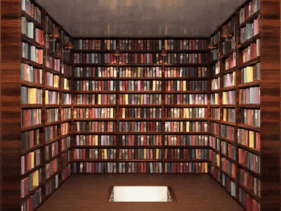 The Infinitely Generated Library