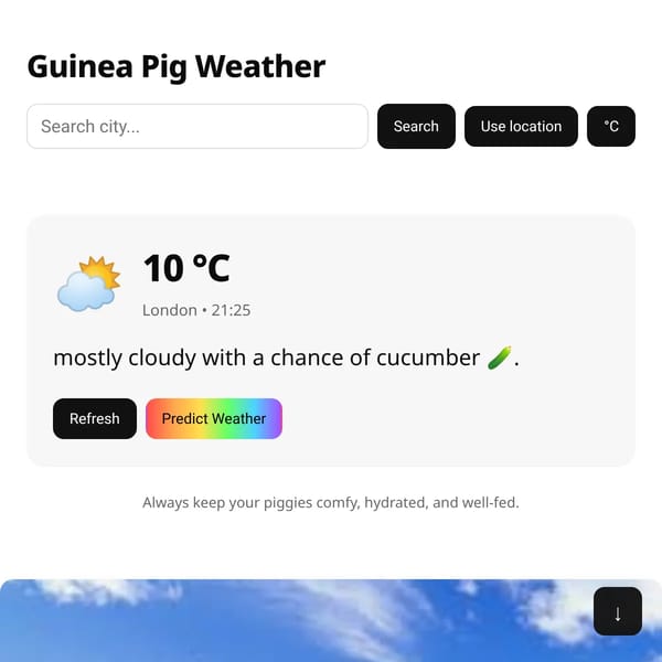 Guinea Pig Weather