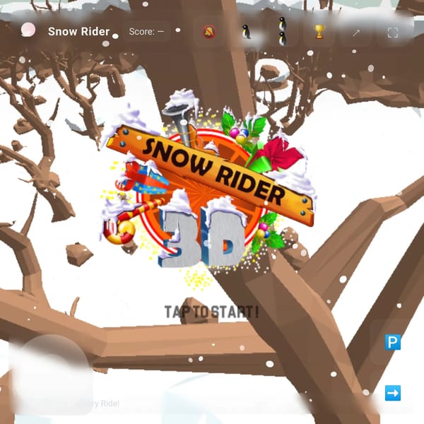 Snow Rider 3d