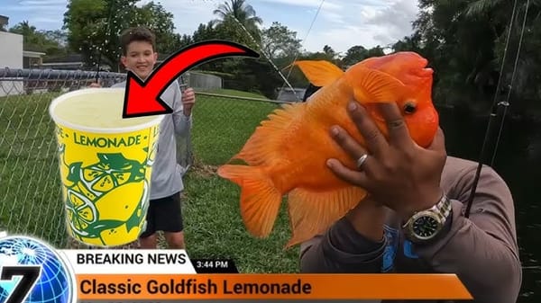 sell lemonade to save your pet goldfish from the mafia!!1!11!