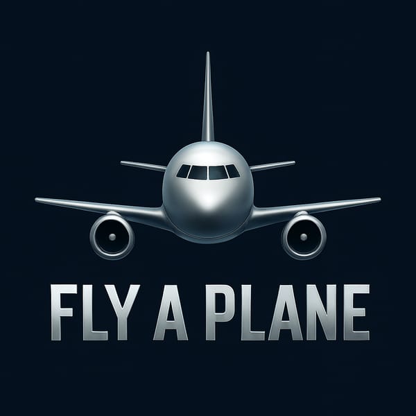 Fly A Plane