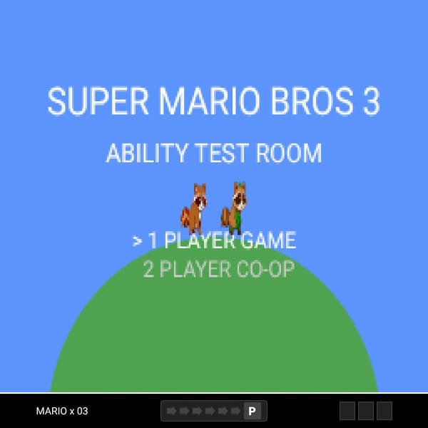 Mario Bros 3 Ability Test Room