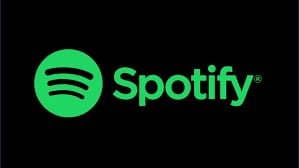 SPOTIFY IN WEBSIM!?