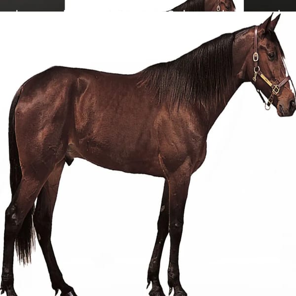 midi2horse