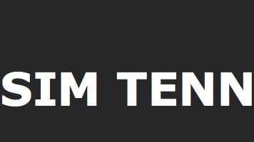 WEBSIM TENNIS