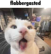 WebHub! - shutdown