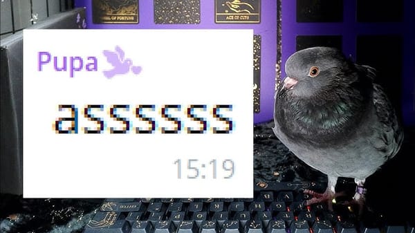Daily Pigeon Quotes
