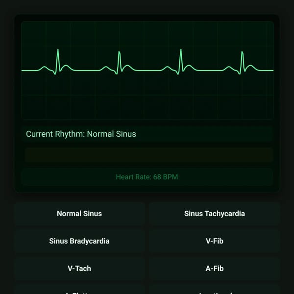 Heart Rhythm Simulator