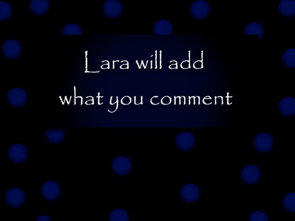 Lara will add what you comment!