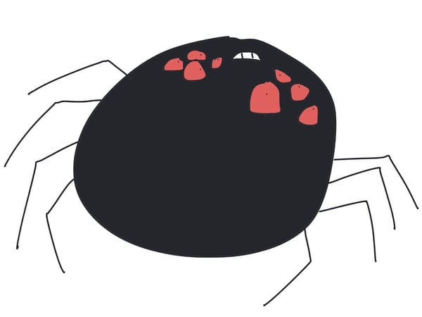 Peter Paper: Spider Dinner - The Platinum Album