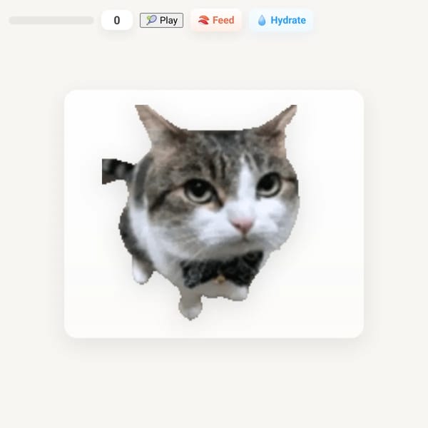 Pat a Cat
