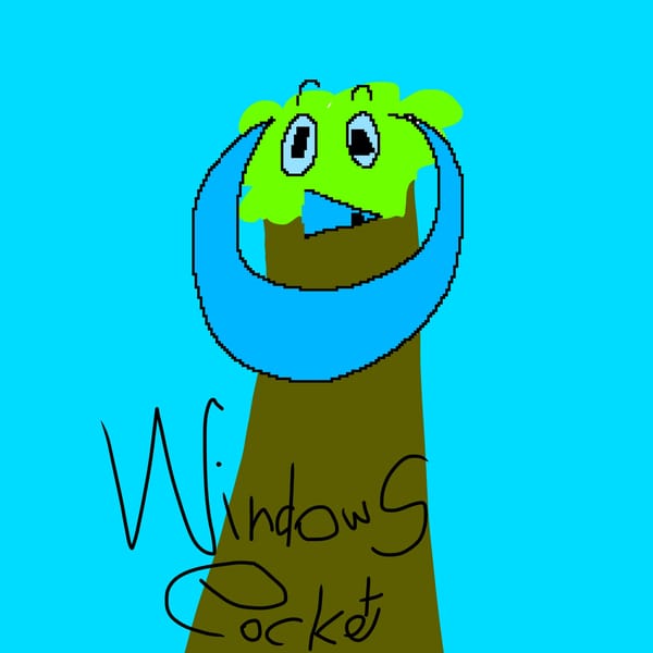Windows Pocket