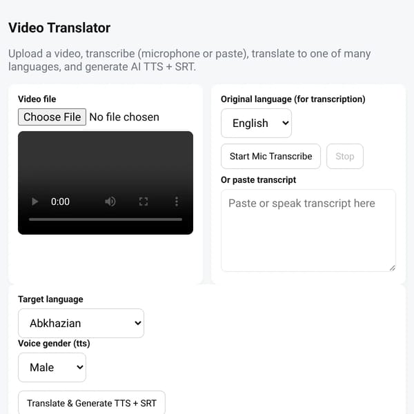 Video Translator