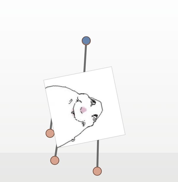 Ragdoll Image Ropes