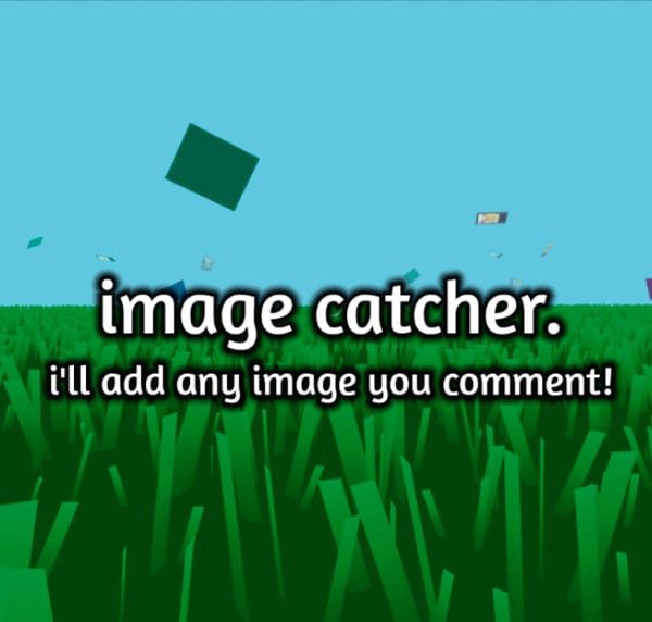 Image Catcher (ADDING COMMENTS!)